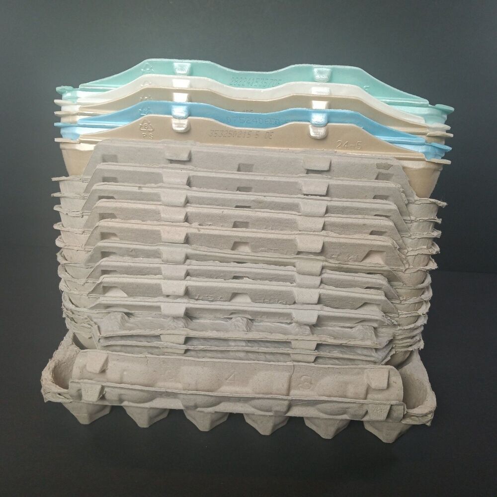 Egg Cartons 19 Empty Variety Cardboard Styrofoam Chicken